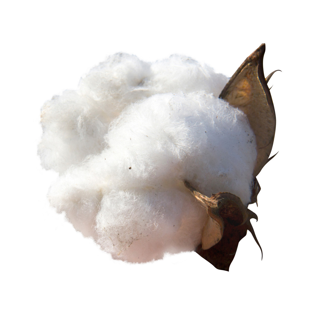 Quality rolled cotton cellulose fiber material manufacturer price cotton cellulose