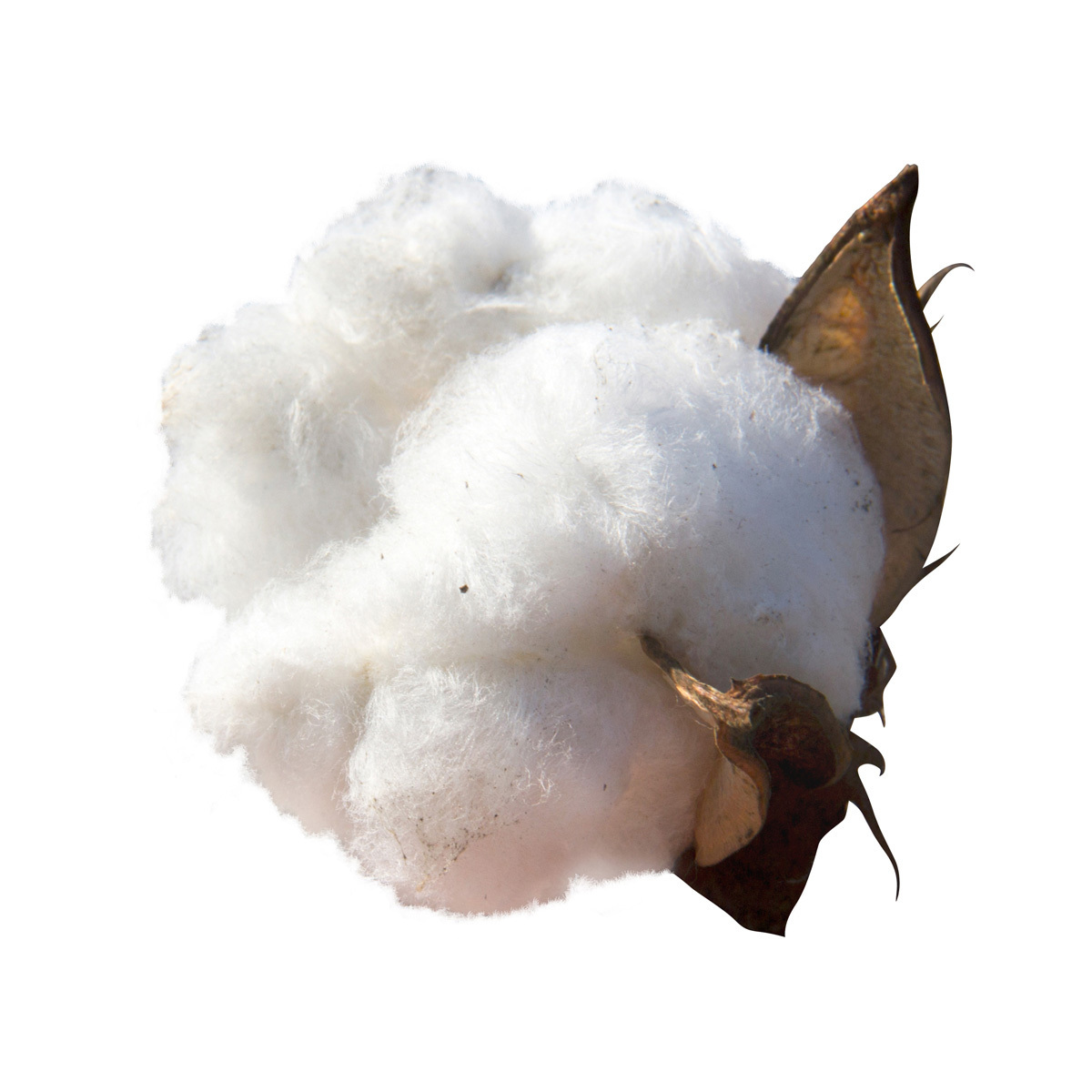 High quality sheet cotton cellulose for sale in bulk reliable supplier cotton cellulose