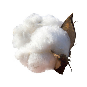 High quality sheet cotton cellulose for sale in bulk reliable supplier cotton cellulose