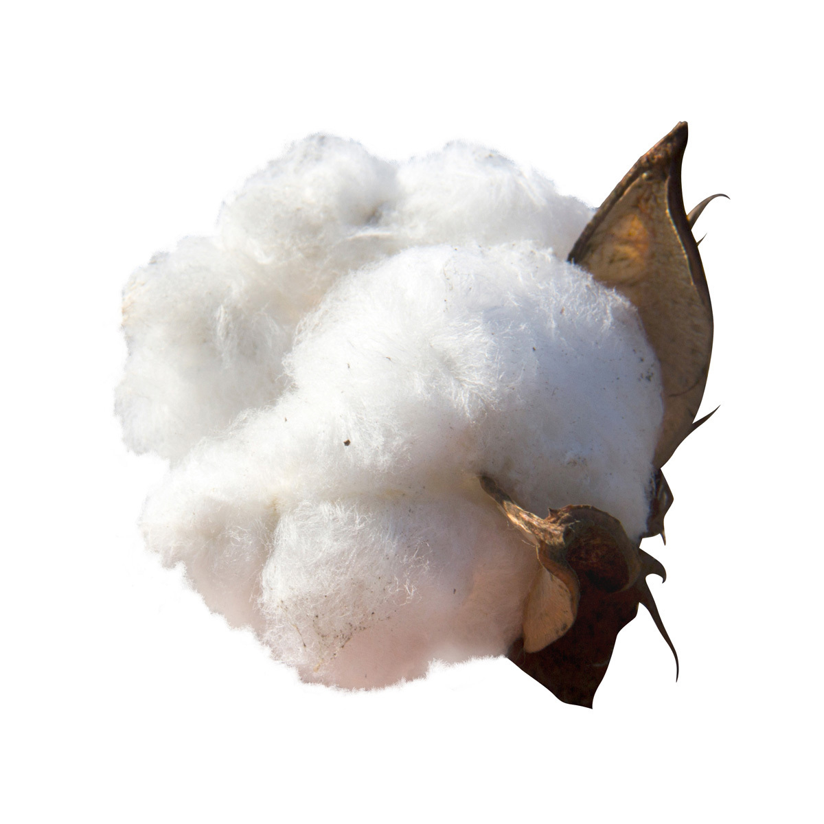 Quality loose cotton pulp in bulk product of Uzbekistan cellulose cotton