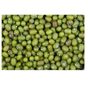 round type Green Mung Bean for market / Green Mung Beans High Quality Organic Green Natural Mung Beans for sale