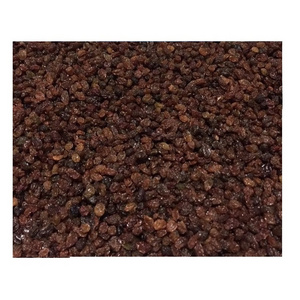 Wholesale New crop  October high quality from Uzbekistan bags 25 kg  organic dried fruits thompson black raisins