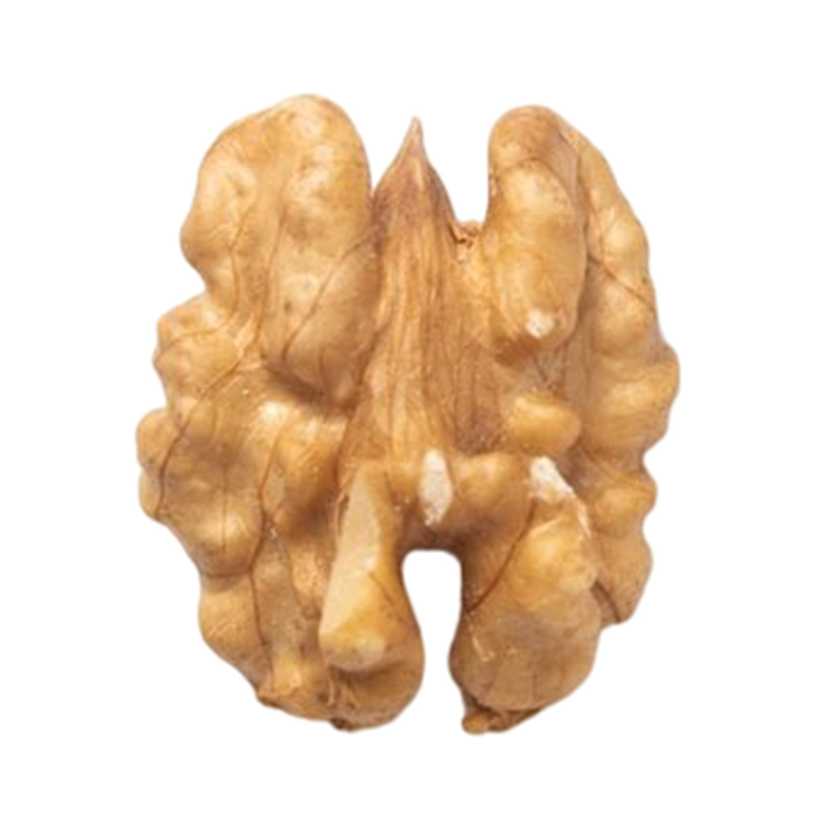 Top quality light walnuts from Uzbekistan wholesale prices beans and nuts for sale