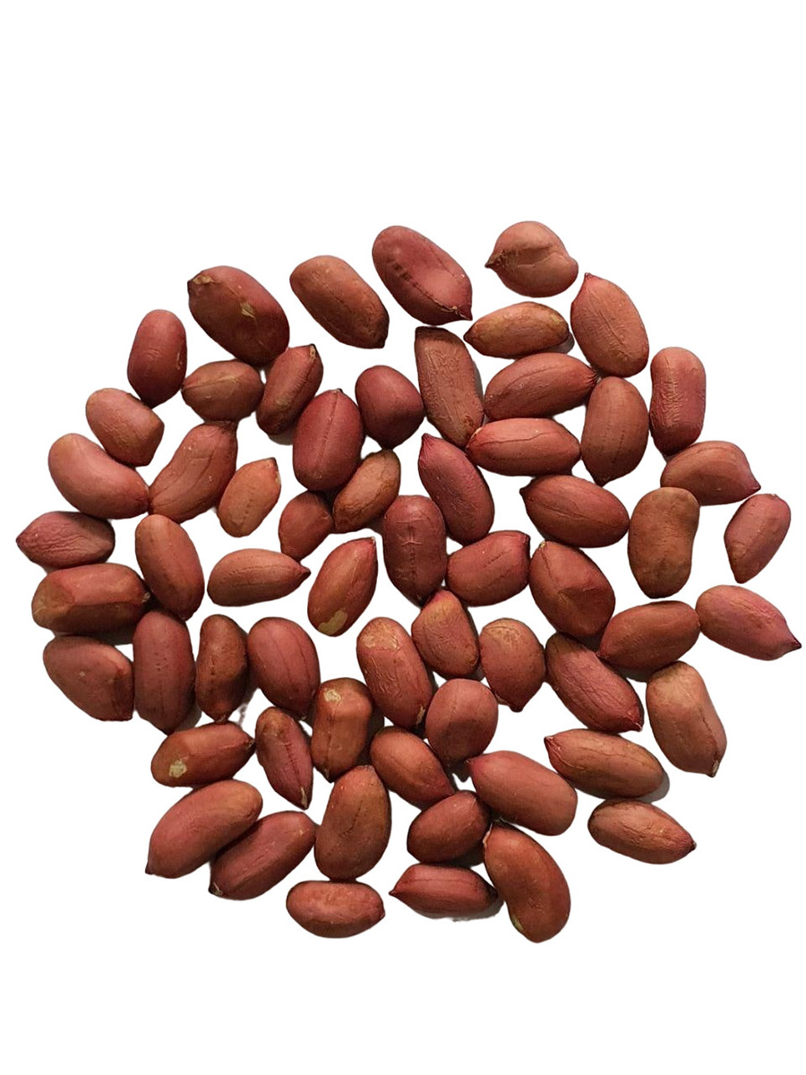 Top quality peanut kernels grown in eco region wholesale prices nuts and dried fruit