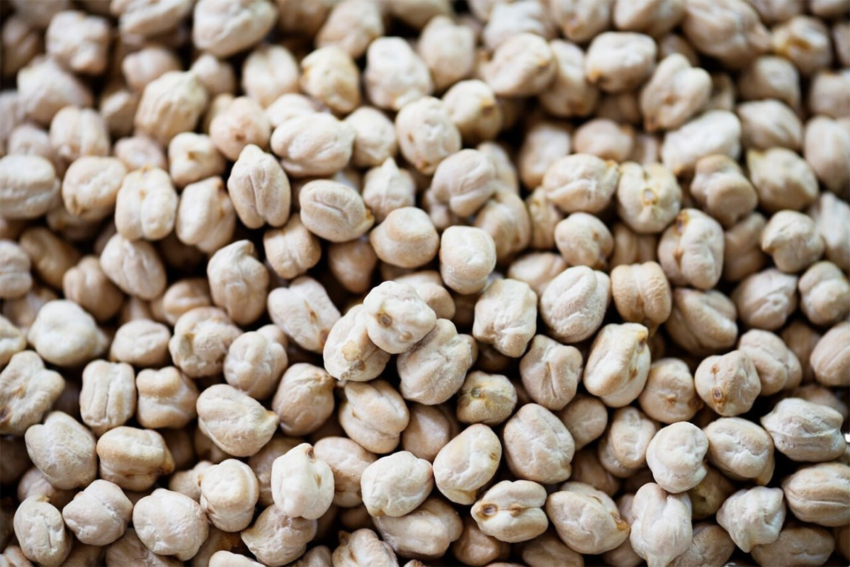 Top quality chickpeas from Uzbekistan wholesale prices nuts for sale in bulk