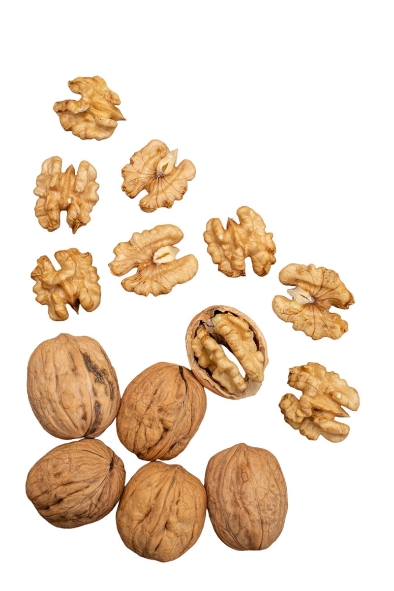 Good prices light walnuts from Uzbekistan worldwide shipping nuts for sale in bulk