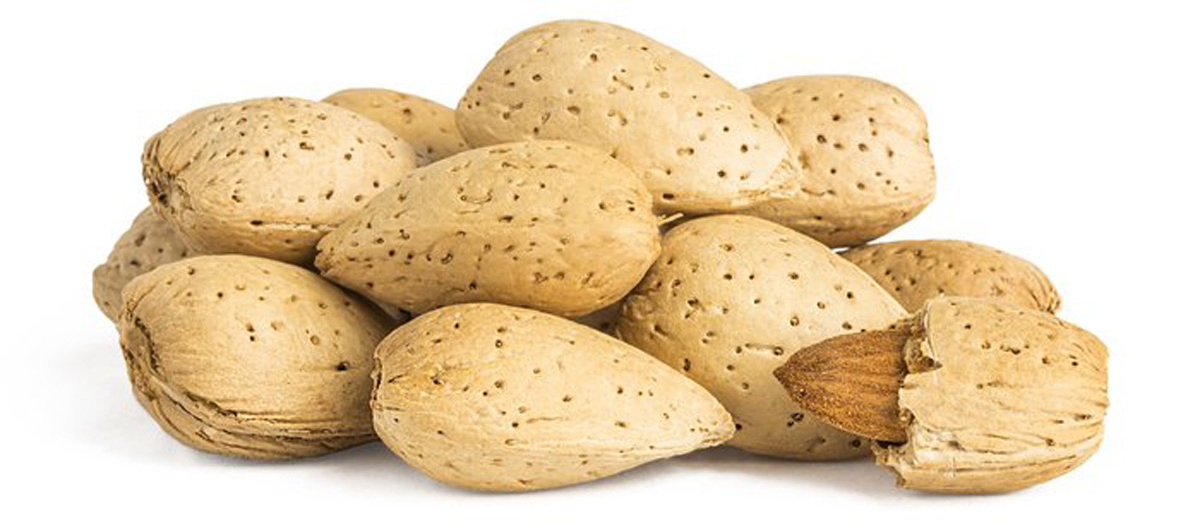 Almonds for sale all natural wholesale prices almonds