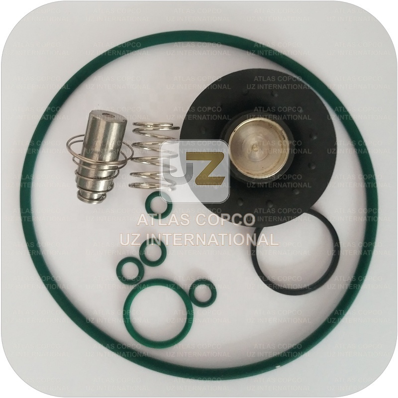 Check Valve Kit  2901050301