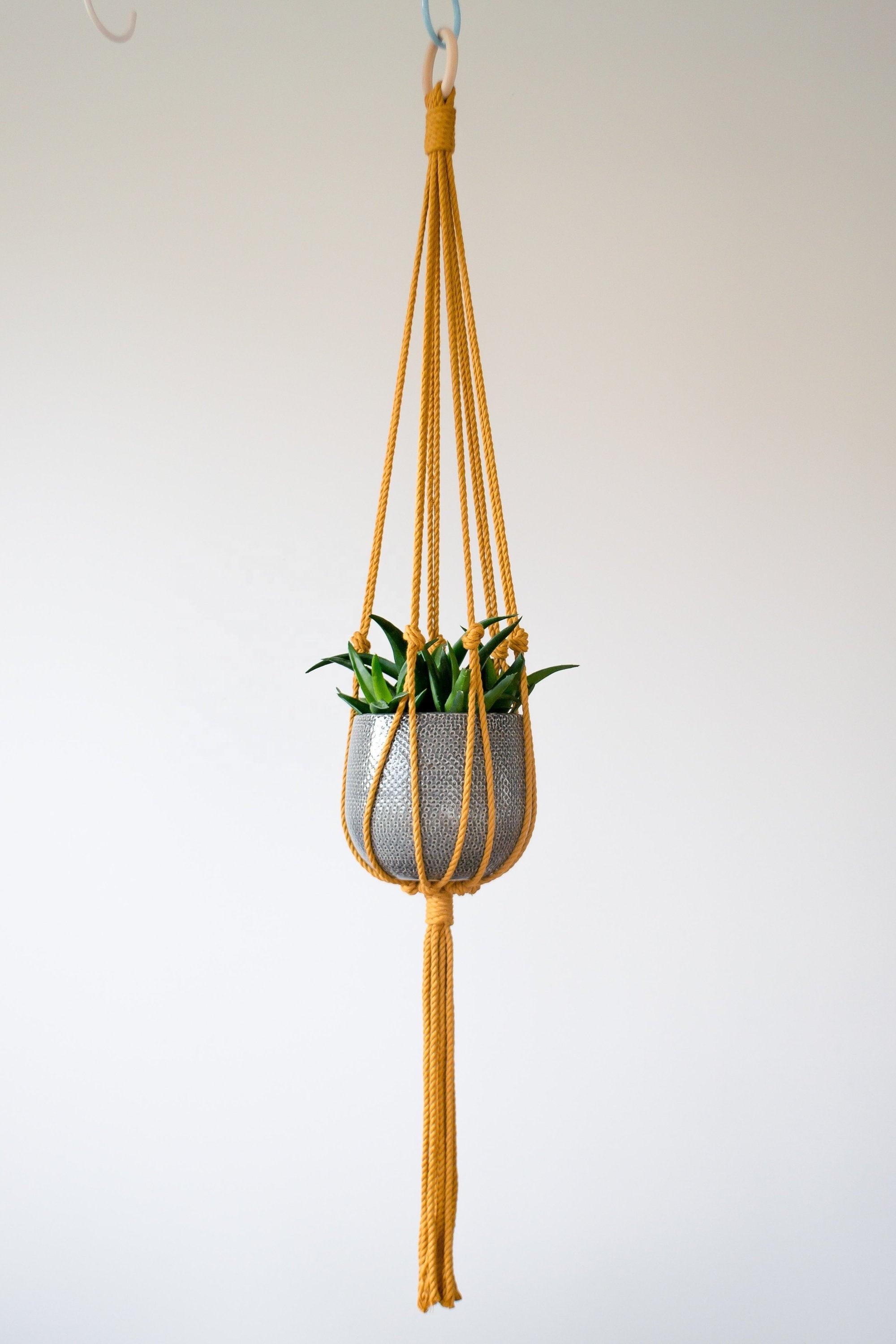 Macrame plant hanger/Holder Made of 100% Cotton in cheap prices in Wholesale Made In India By Avior Industries PVT LTD