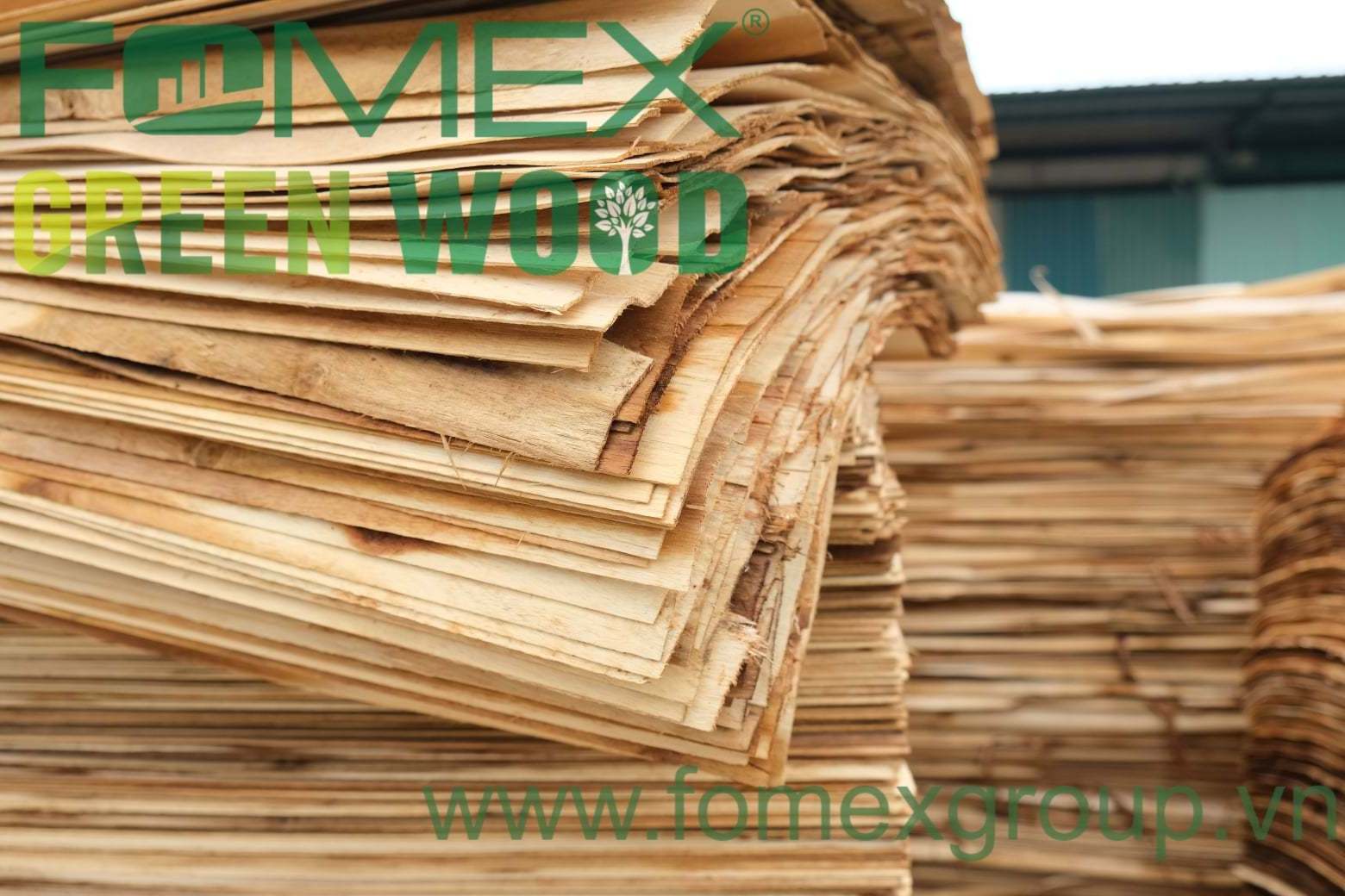 Vietnam high quality good price plywood veneer with T/T L/C payment method