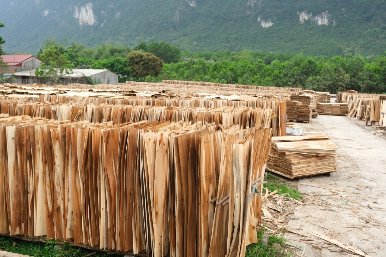 Vietnam high quality good price plywood veneer with T/T L/C payment method