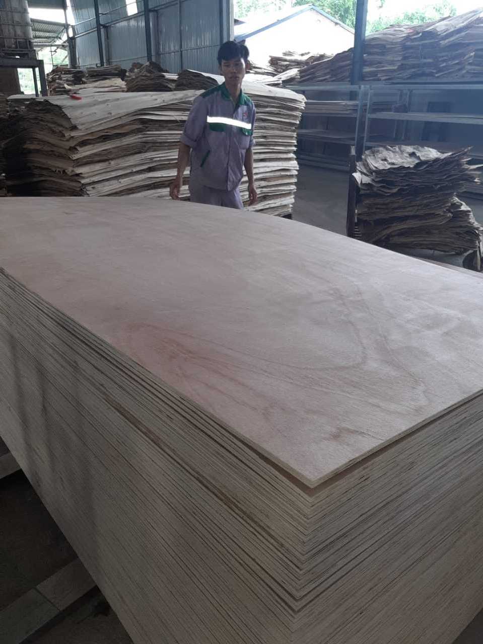 Packing Plywood Sheets Vietnam 1220*2440 Packing Plywood competitive price Plywood For Sale