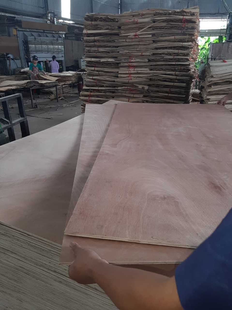 Packing Plywood Sheets Vietnam 1220*2440 Packing Plywood competitive price Plywood For Sale