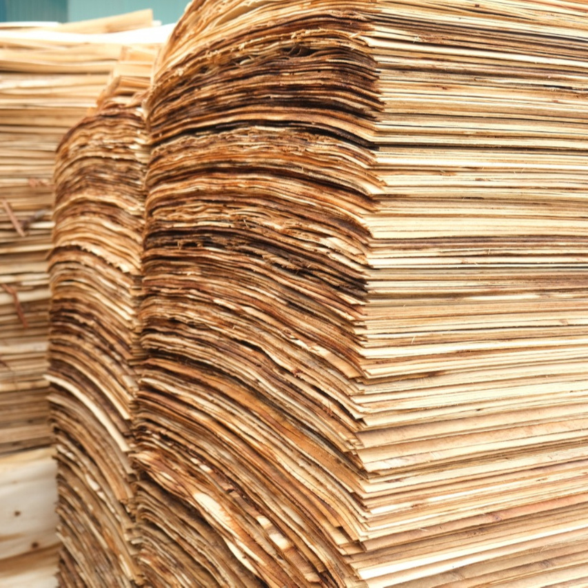 Vietnam high quality good price plywood veneer with T/T L/C payment method