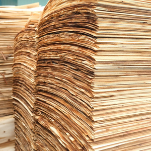 Vietnam high quality good price plywood veneer with T/T L/C payment method