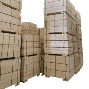 Vietnam uniform quality good price BASIC  LVL (LAMINATED VENEER LUMBER) with T/T L/C payment method