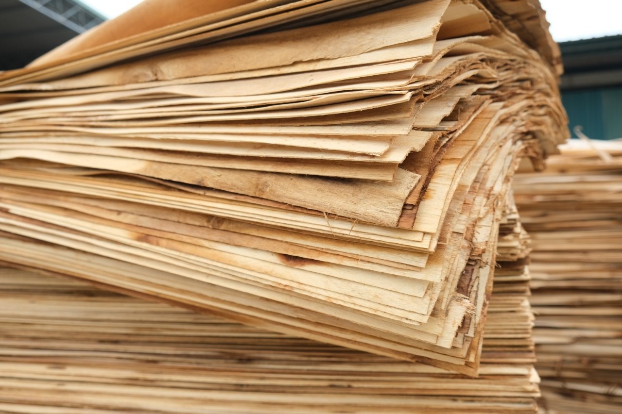 Vietnam high quality good price plywood veneer with T/T L/C payment method