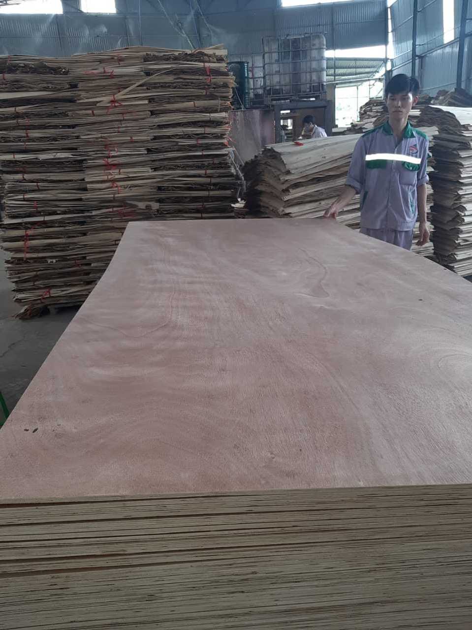 Packing Plywood Sheets Vietnam 1220*2440 Packing Plywood competitive price Plywood For Sale