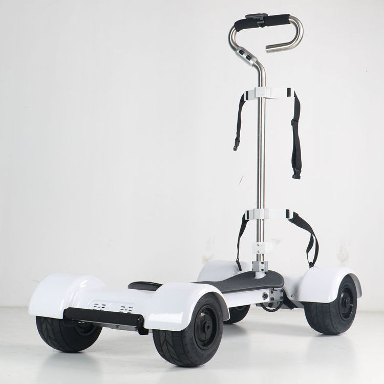 Fat tire golf board for women and men cheap prices three wheel golf cart electric scooter citycoco