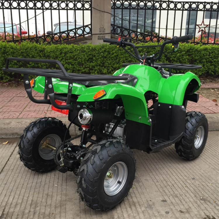 2021 Kids Mini 1000W 36V Electric ATV, 4 Wheeler, quad bikes