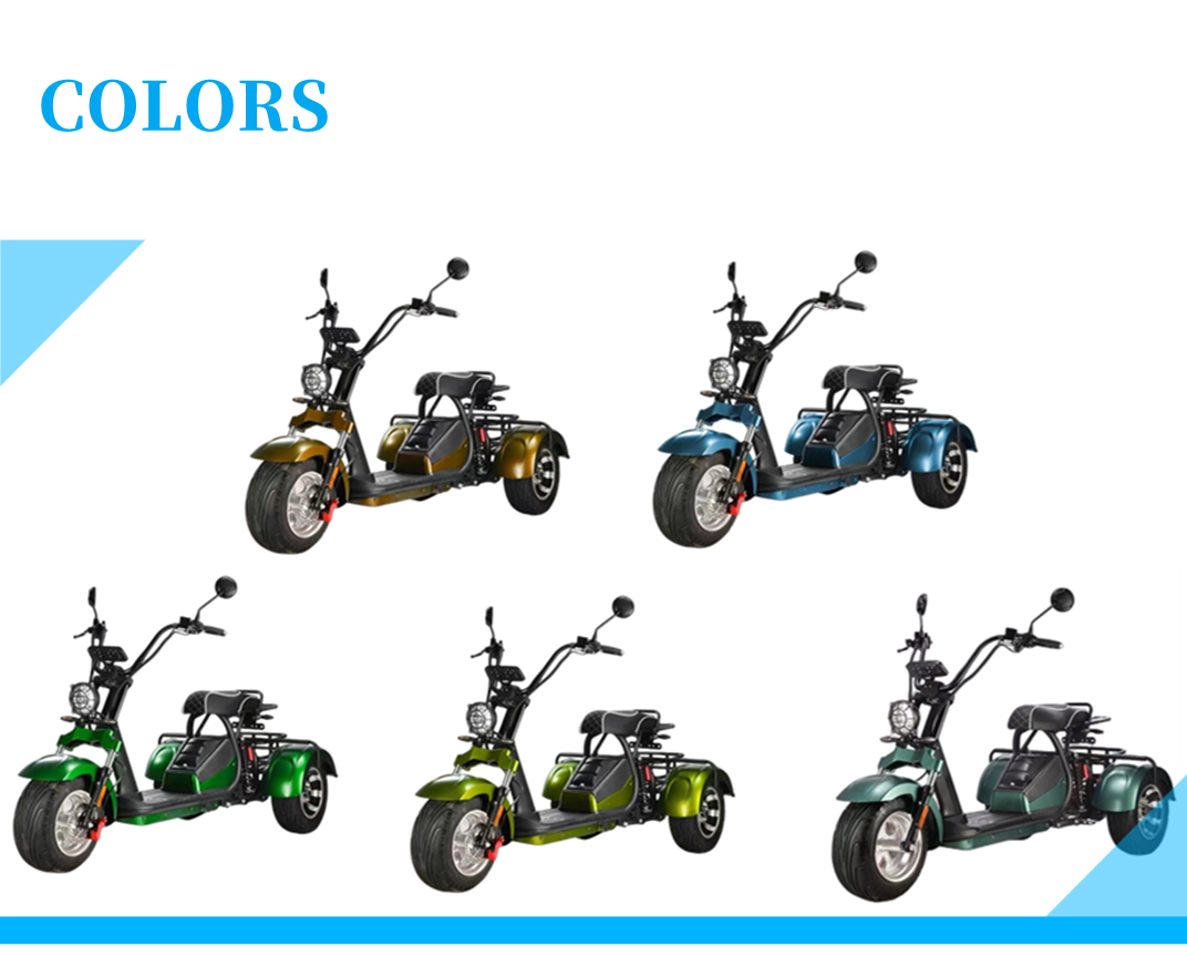 Adult off road fat tire 2000w 10 inch 3 wheel scooter hub motor waterproof electric scooter