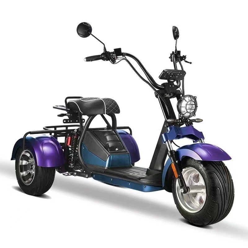 Adult off road fat tire 2000w 10 inch 3 wheel scooter hub motor waterproof electric scooter