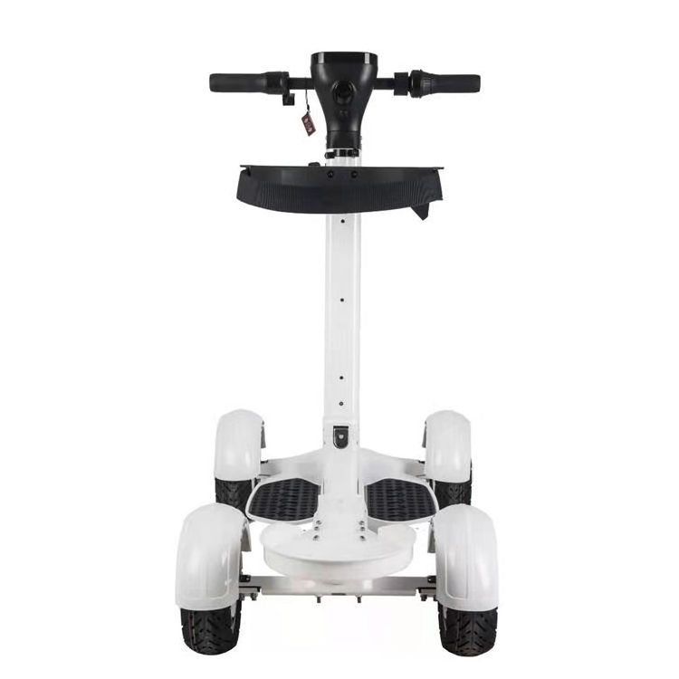 Fat tire golf board for women and men cheap prices three wheel golf cart electric scooter citycoco