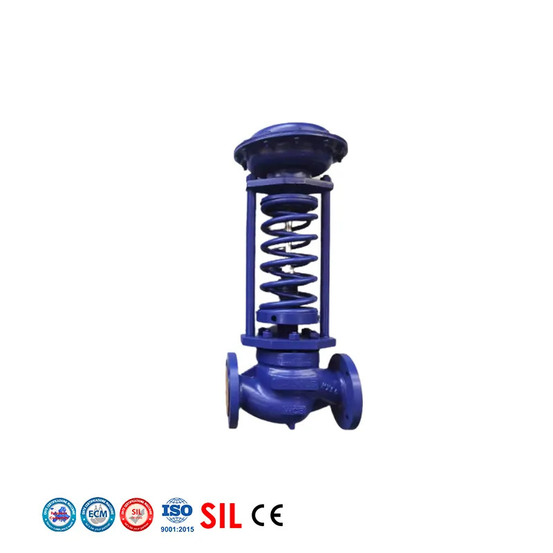 RV Regulating Relief Control Valve Used for Water Pump