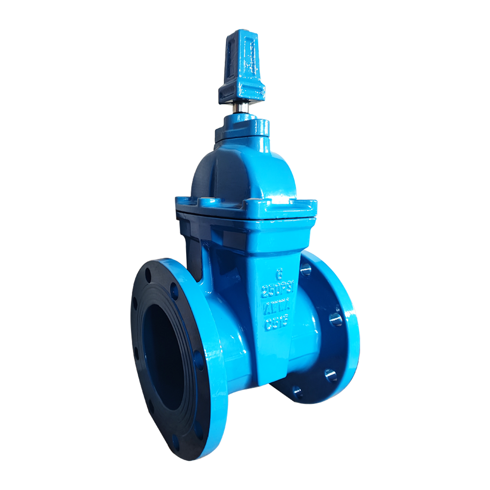 Seal flange ductile iron gate valve Soft EPDM NBR PTFE Seat Rising Stem Ductile Iron Cast Iron Handle