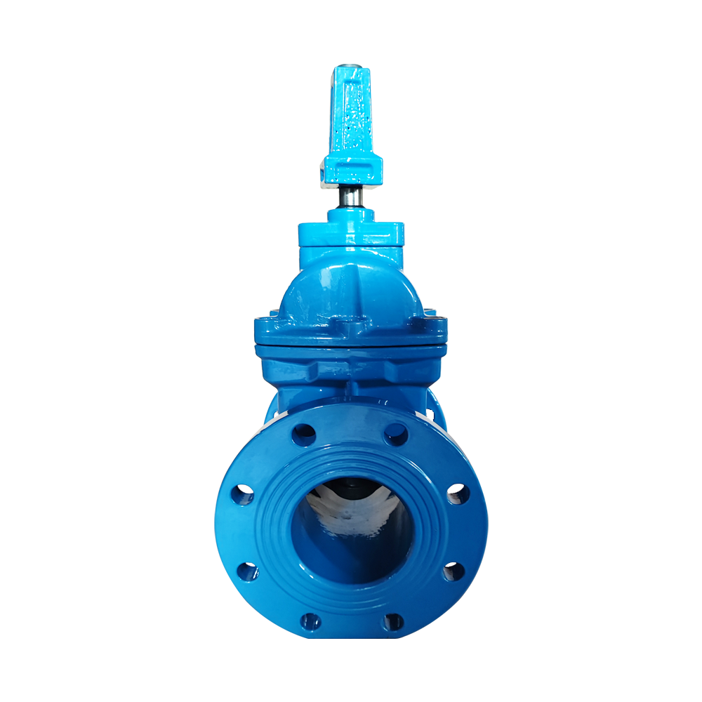 Seal flange ductile iron gate valve Soft EPDM NBR PTFE Seat Rising Stem Ductile Iron Cast Iron Handle