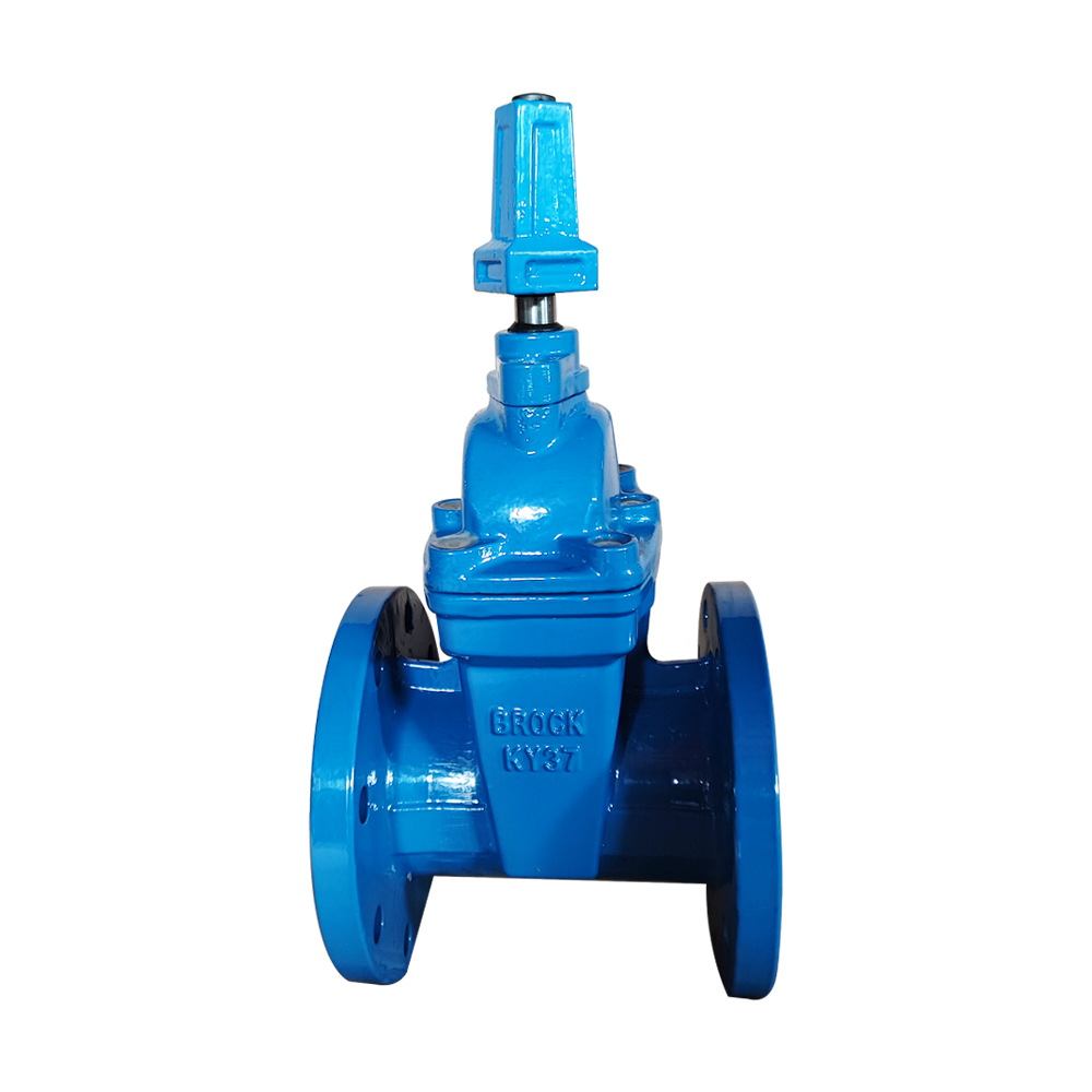 Seal flange ductile iron gate valve Soft EPDM NBR PTFE Seat Rising Stem Ductile Iron Cast Iron Handle