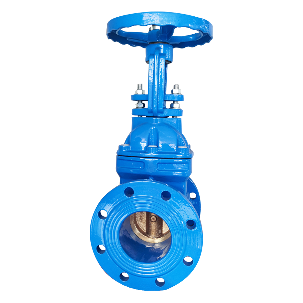 BS AWWA DIN DN200 outside Rising Stem Bronze  Metal Seat hard seal gate valve Connection Flanged Gate Valve for Water