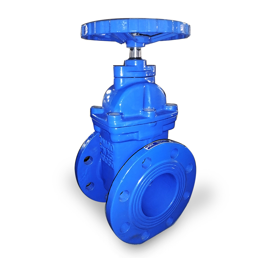 High Performance Vale Pn10 Pn16  Looks Good Flanged Gate Valve for Water Standard Ductile Iron GGG40/50