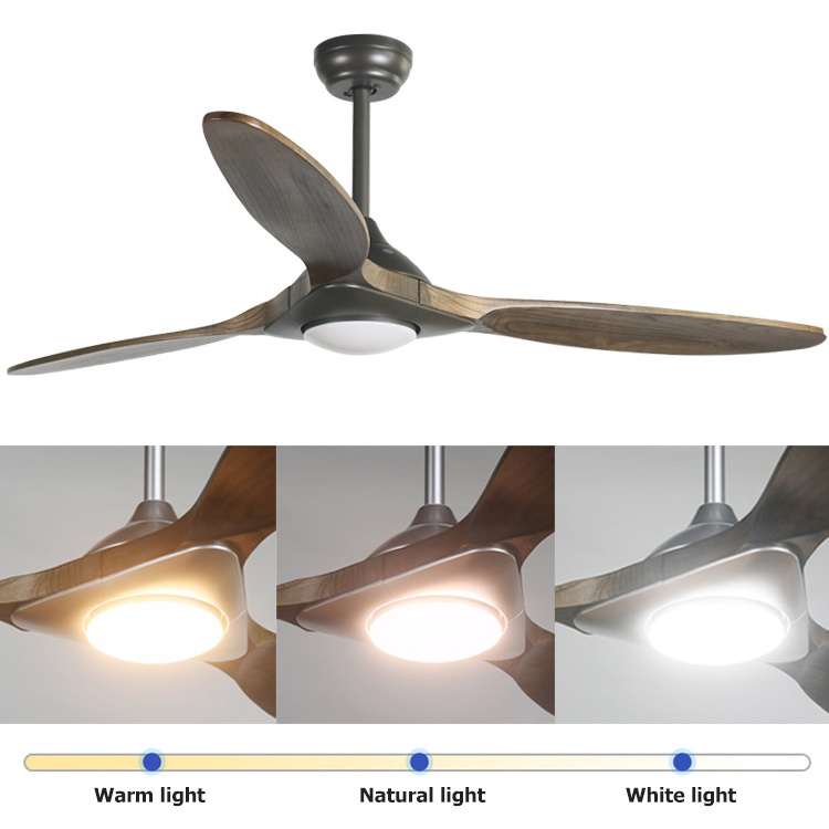 Minimalist Fashion Modern New haiku Maritim Dillon Multifunctional Flat Quiet DC LED Ceiling Fan With LED Lights On Sale