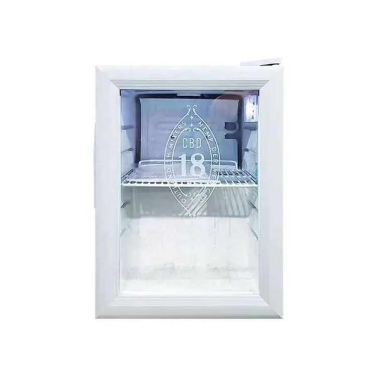 Vanace SC 21L Compact Refrigerator White Stainless Steel Glass Door Beverage Cooler Compressor Mini Fridge