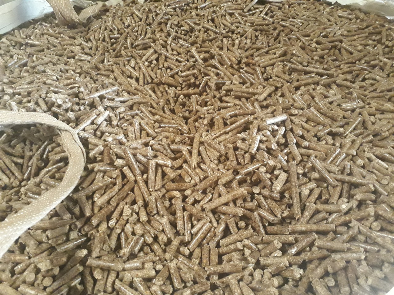 Pine/Bamboo/Cashew/Spruce/Birch/oak-Beech WOOD PELLET firewood pellets wood from Vietnam