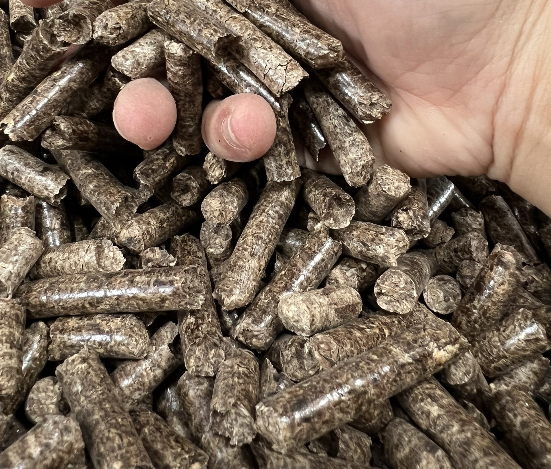 Pine/Bamboo/Cashew/Spruce/Birch/oak-Beech WOOD PELLET firewood pellets wood from Vietnam