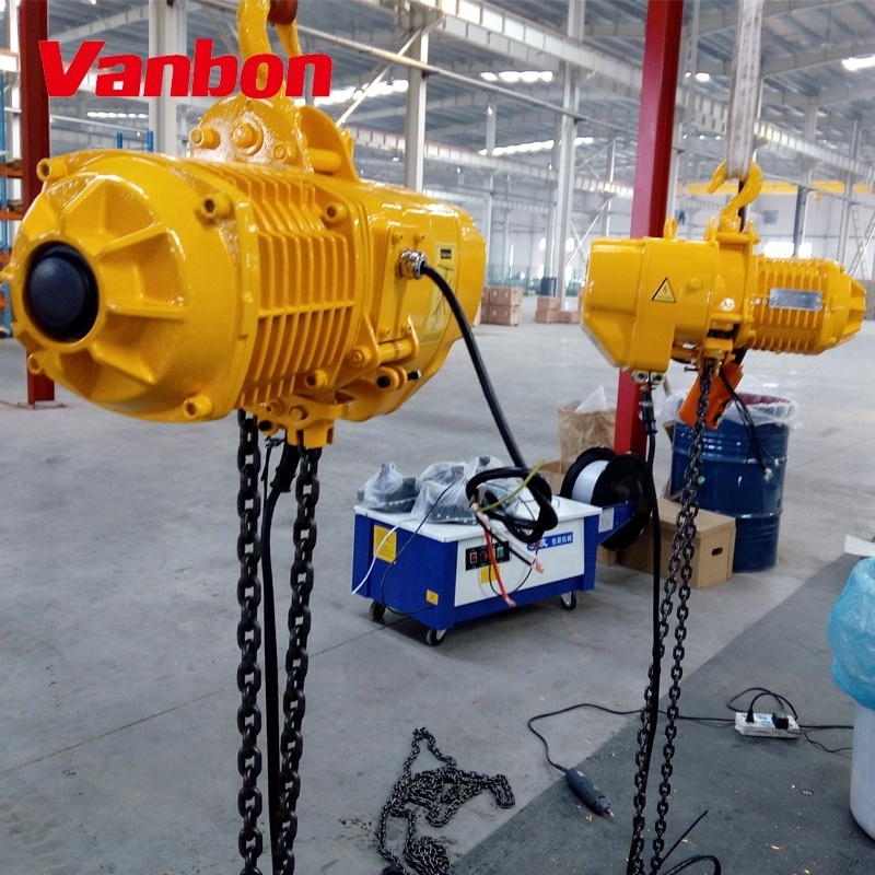 custom printed electric chain hoist/hoisting machine gold supplier