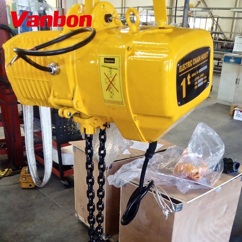 custom printed electric chain hoist/hoisting machine gold supplier