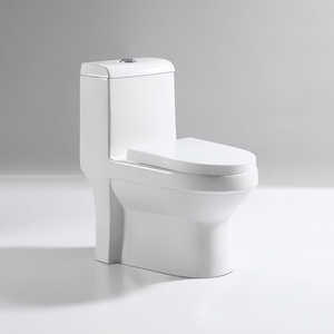 Bathroom Wholesale Cheap Price Dual Flush Ceramic One Piece Bowl Sanitary Ware Toilets Commode