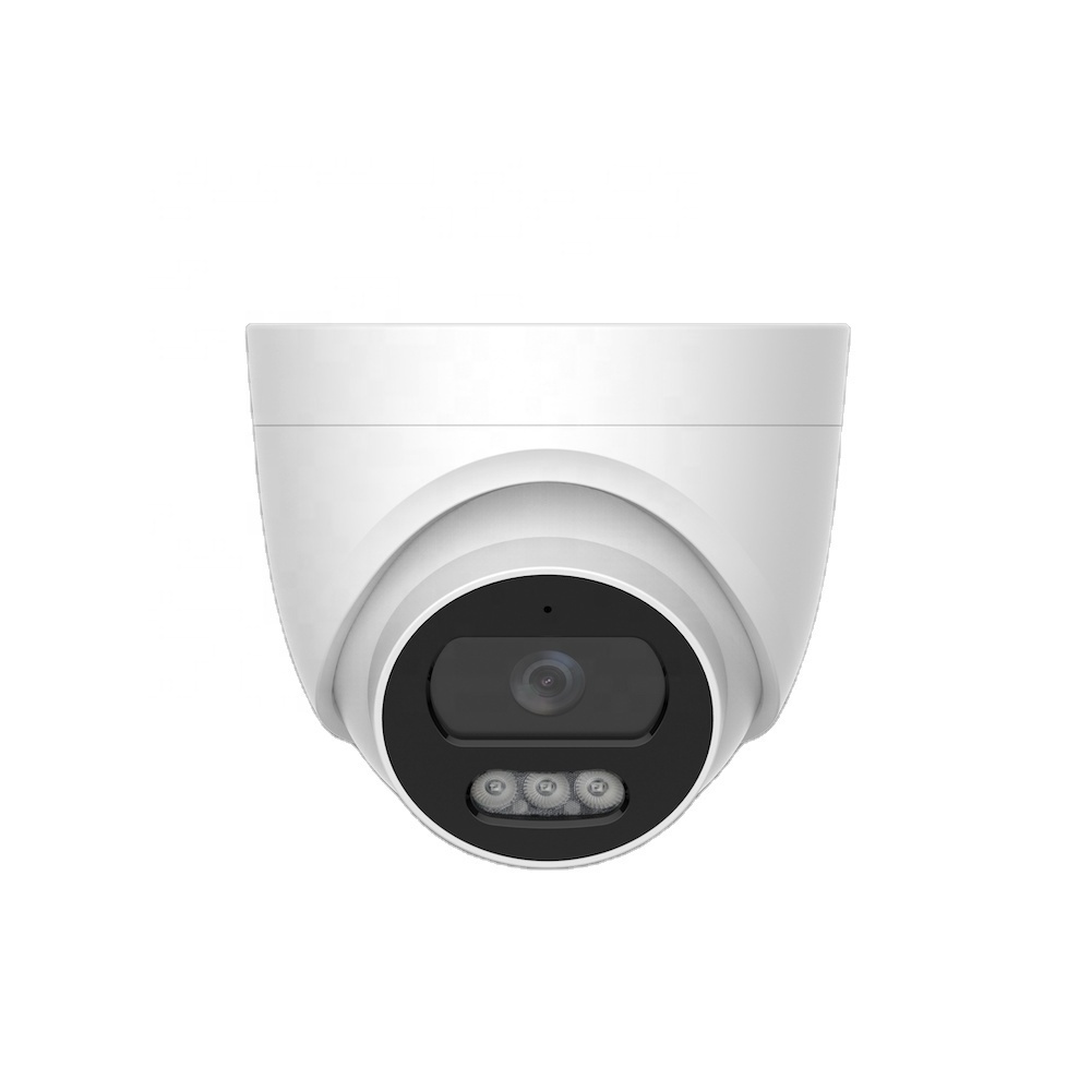 Cheap 1080P 2MP 30FPS built-in microphone DWDR intrusion detection PoE turret IP camera