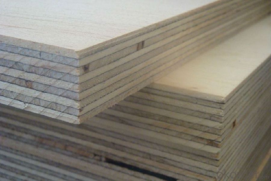 11 ply factory direct sales plywood for wood flooring birch  vietnam manufacturer Pine veneer birch plywood used for furniture