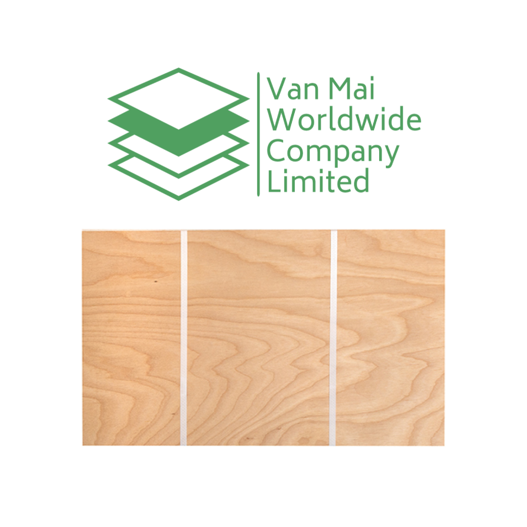 11 ply factory direct sales plywood for wood flooring birch  vietnam manufacturer Pine veneer birch plywood used for furniture