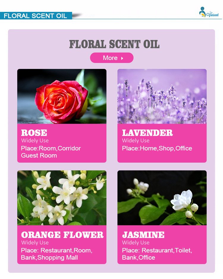 Plants flower Essence Laundry Detergent Aroma Man's Perfume Liquid Fruit Flavorings