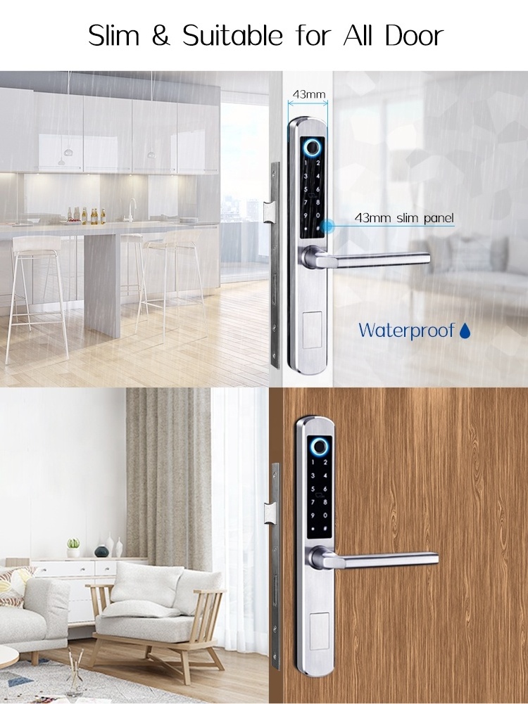 Wifi  TUYA TT Lock APP Access Smart Keyless Digital Electronic Fingerprint Cabinet Door Handle Lock