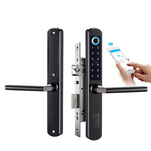 Fingerprint lock  security door combination intelligent door lock universal entry door true lock core electronic