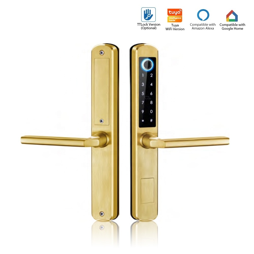 High security five verification methods fingerprint & passwword smart door lock with tuya wifi and TT lock