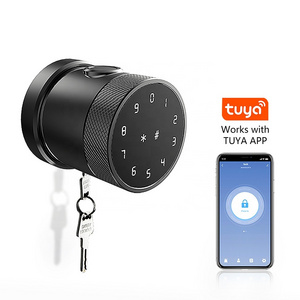 Wireless Zinc alloy Digital Electronic Fingerprint recognition smart door Lock  with Tuya App or TTLock App