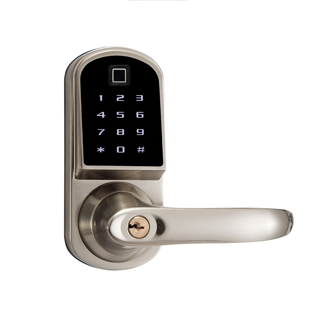 Touch Keypad wireless remote control BT door lock for office hotel apartment security TT Lock APP