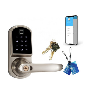 Touch Keypad wireless remote control BT door lock for office hotel apartment security TT Lock APP